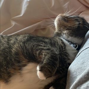 Meet your Posher, Katherine